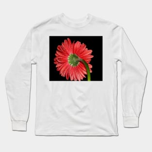 Red Gerbera Daisy Long Sleeve T-Shirt